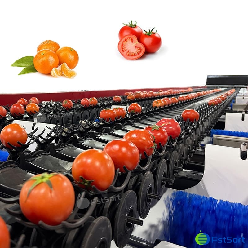 images/1769396573912citrus 4 lines.jpg